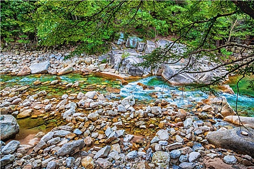 soi cầu miễn phí org