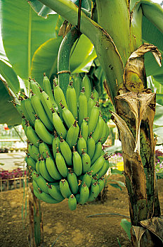 kqxs 3 miền