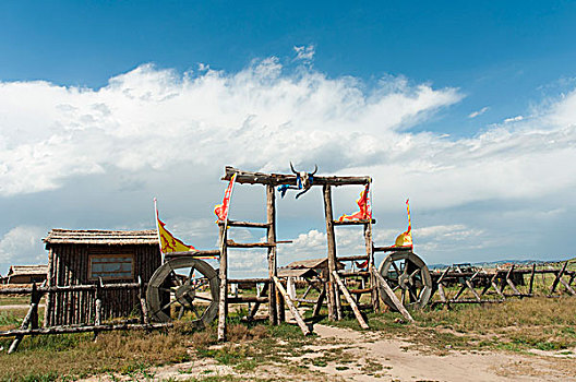 soi cau lo bach thu mien phi