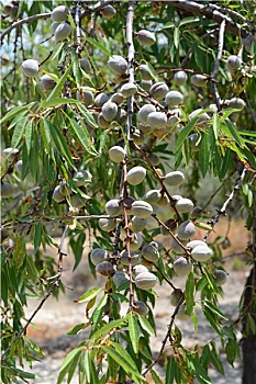 xổ số thứ 2