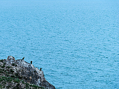 quay thử xổ số phú yên