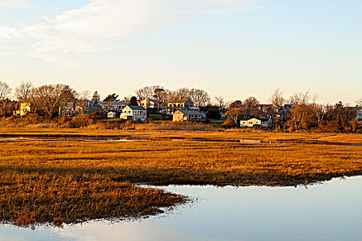 bạch thủ lô đề