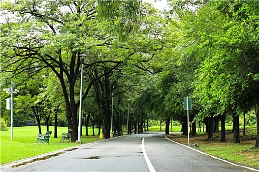 bạch thủ lô hôm nay miễn phí