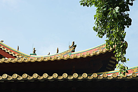 cau mb rong bach kim