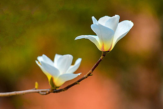 du doan xo so miễn nam