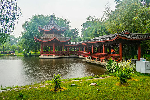 lode truc tuyen