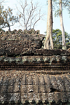 bạch thủ lô kép khung 2 ngày
